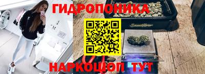 прущие крисы Нягань