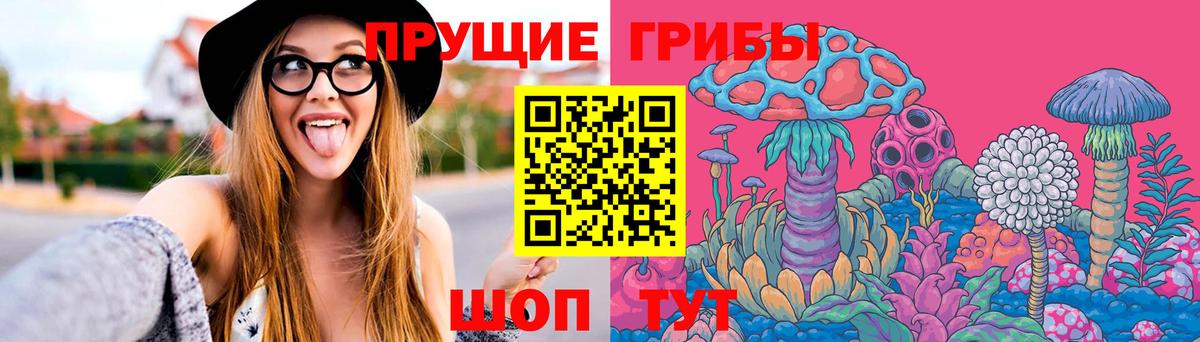 Галлюциногенные грибы MAGIC MUSHROOMS  Псилоцибиновые грибы MAGIC MUSHROOMS  Валуйки  Вход с VPN 